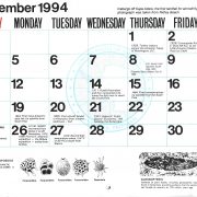 1994 Antarctic Calendar